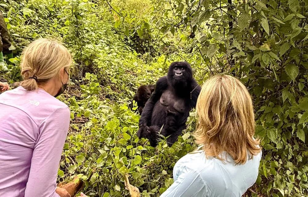 How to Prepare for Your First Gorilla Trek