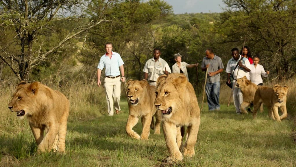 Rwanda Beyond Gorillas: Hidden Natural Wonders