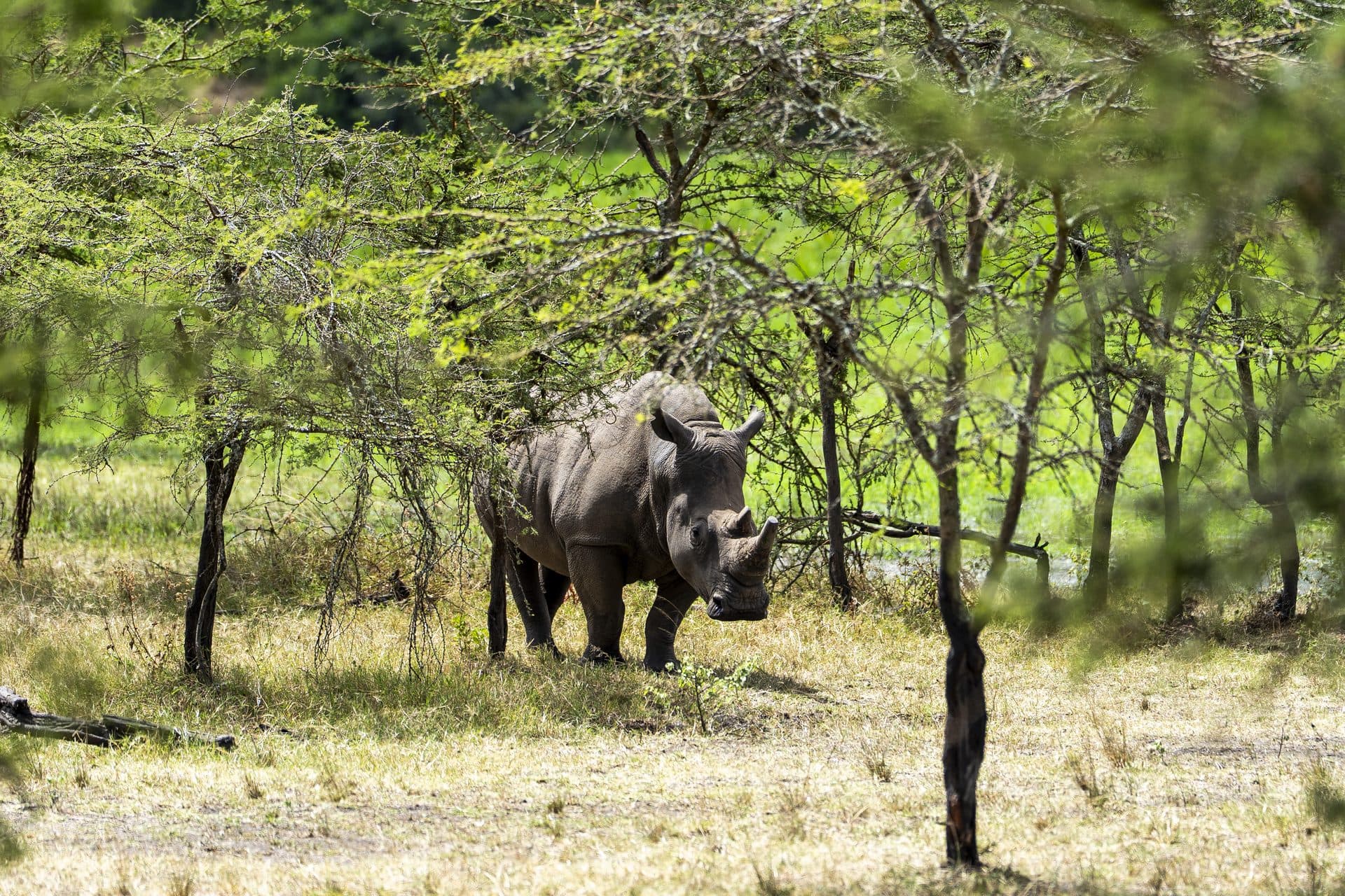 Village to Wild Safaris photo gallery